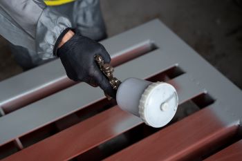 SG ANTICORO PAINTS
